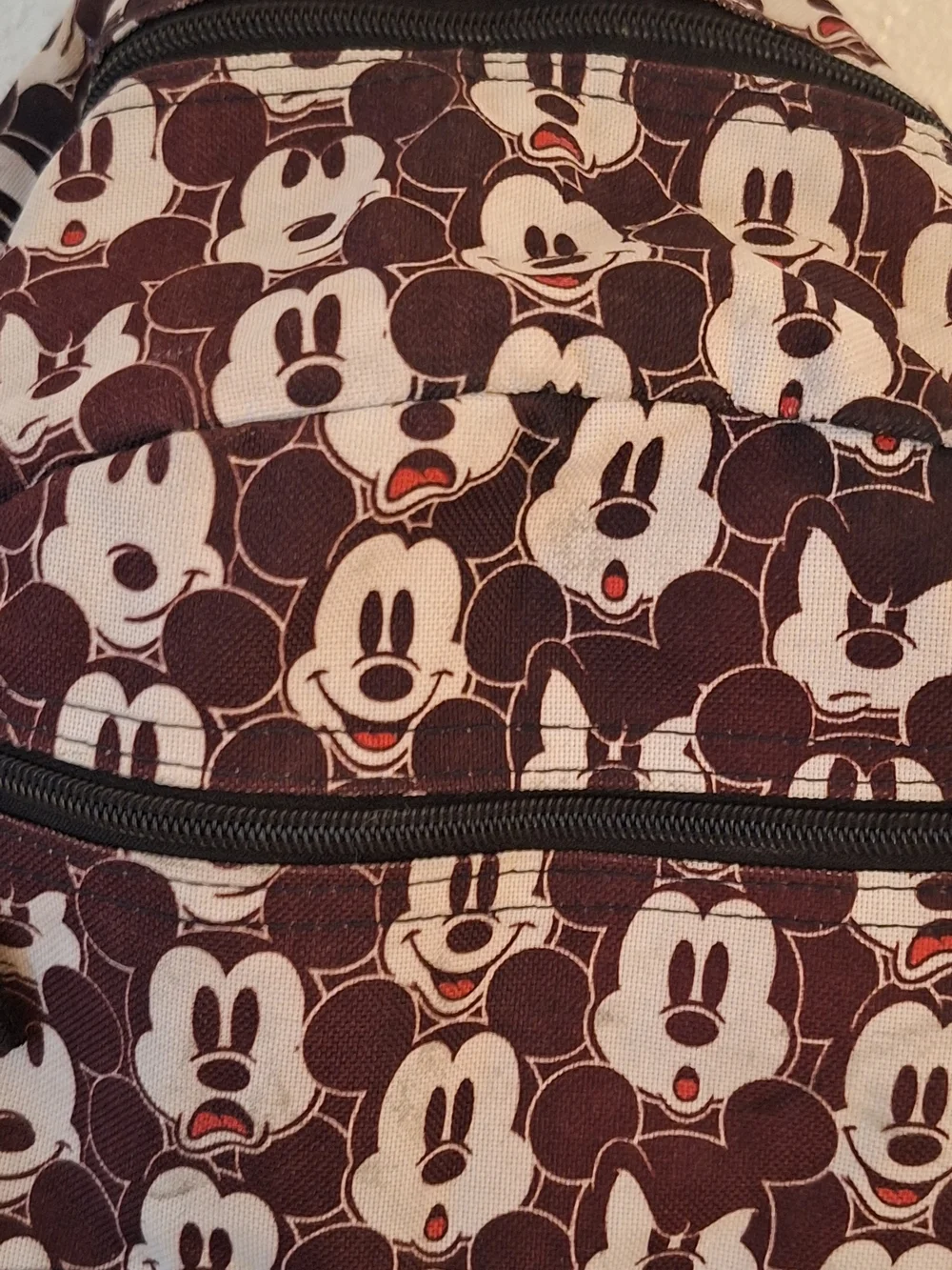 Disney authentic parks